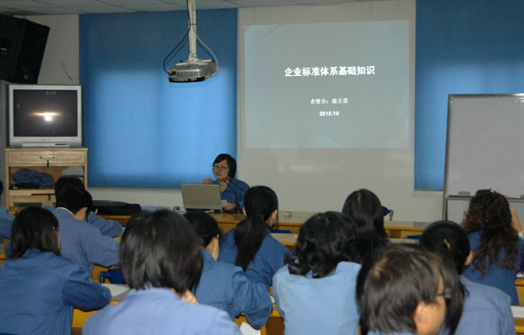 尊龙凯时人生就是搏开展企业标准系统培训