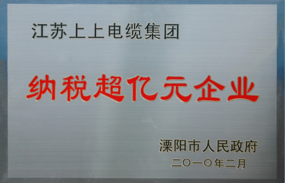 尊龙凯时人生就是搏荣获“2009年度十大纳税大户”与“纳税超亿元企业”声誉称呼