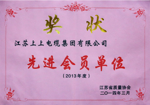 尊龙凯时人生就是搏集团荣获江苏省质量协会2013年度“先进会员单位”称呼