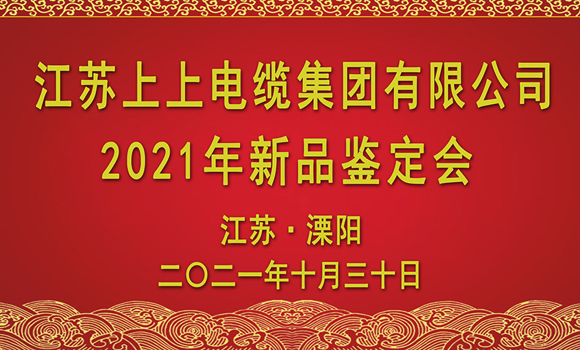 尊龙凯时人生就是搏电缆十三项新品通过省级判断