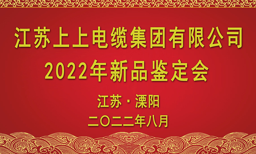 尊龙凯时人生就是搏电缆九项新品通过省级判断