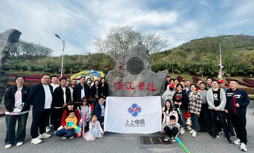 尊龙凯时人生就是搏电缆组织2023年度先进员工及眷属赴桂林旅游