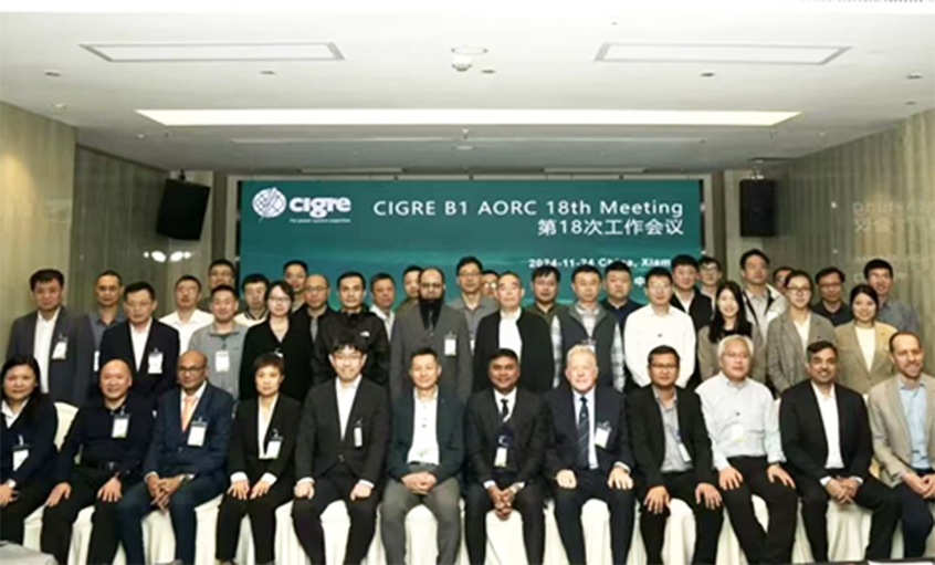 尊龙凯时人生就是搏电缆受邀出席CIGRE绝缘电缆专委会亚太区第18次年会并做专题讲话