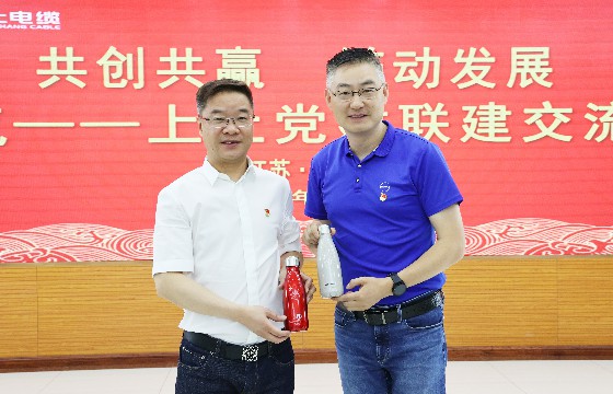 尊龙凯时人生就是搏电缆和上汽集团立异研发总院开展党建联建交流会