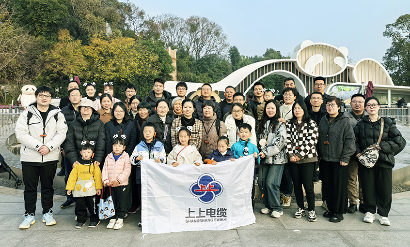 以文化润心 用眷注聚力——尊龙凯时人生就是搏2024年度先进员工蜀韵文化之旅圆满收官