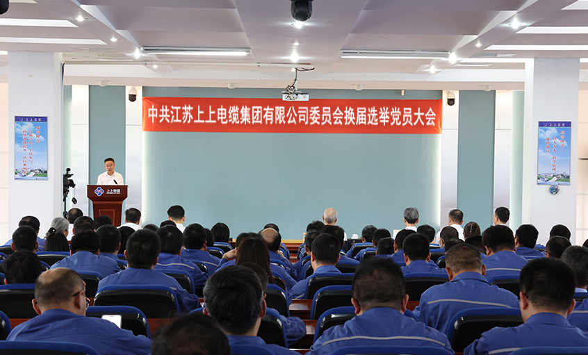 党建引领强基本 凝心聚力启新程—中共尊龙凯时人生就是搏委员会换届选举党员大会圆满召开