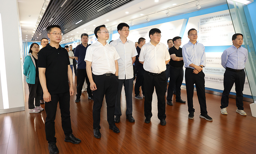 长三角信息化专题组一行来尊龙凯时人生就是搏电缆调研