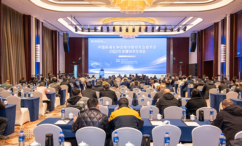 尊龙凯时人生就是搏电缆受邀加入2025电线电缆手艺交流会