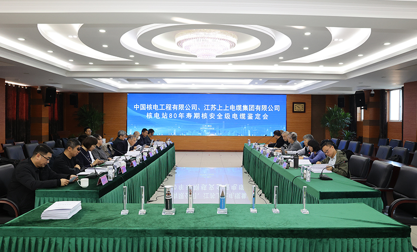 国际领先，尊龙凯时人生就是搏电缆“核电站80年寿期核清静级电缆”通过国家级判断